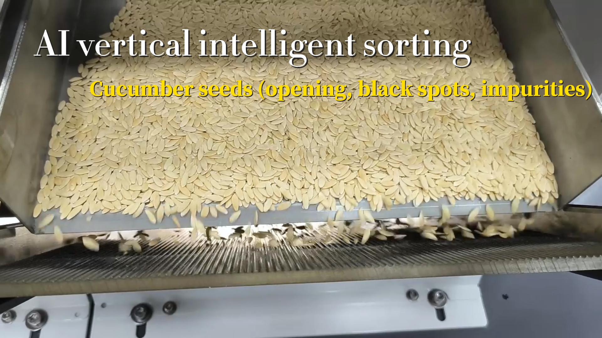 AI vertical intelligent sorting machine - Gucumber seeds (opening, black spots, impurities）