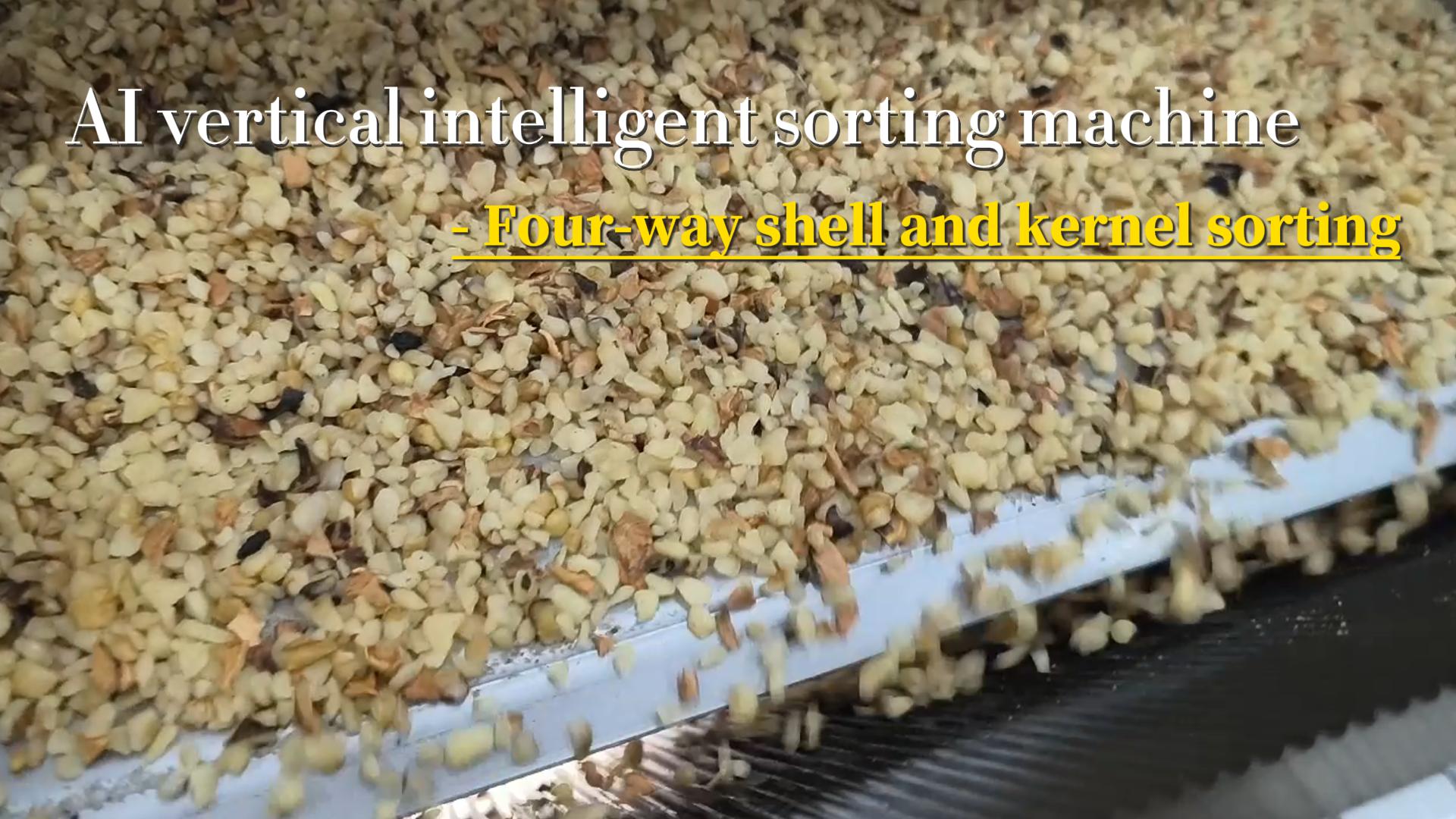 AI vertical sorter-Four-way shell and kernel sorting