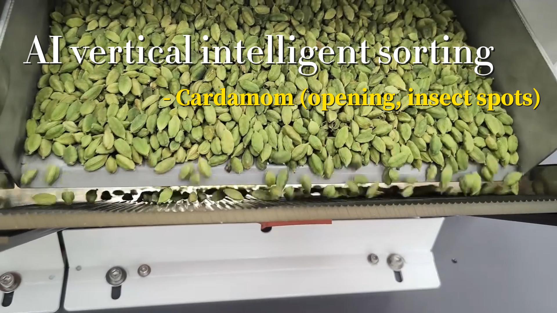 AI vertical intelligent sorting machine - Cardamom (opening, insect spots)