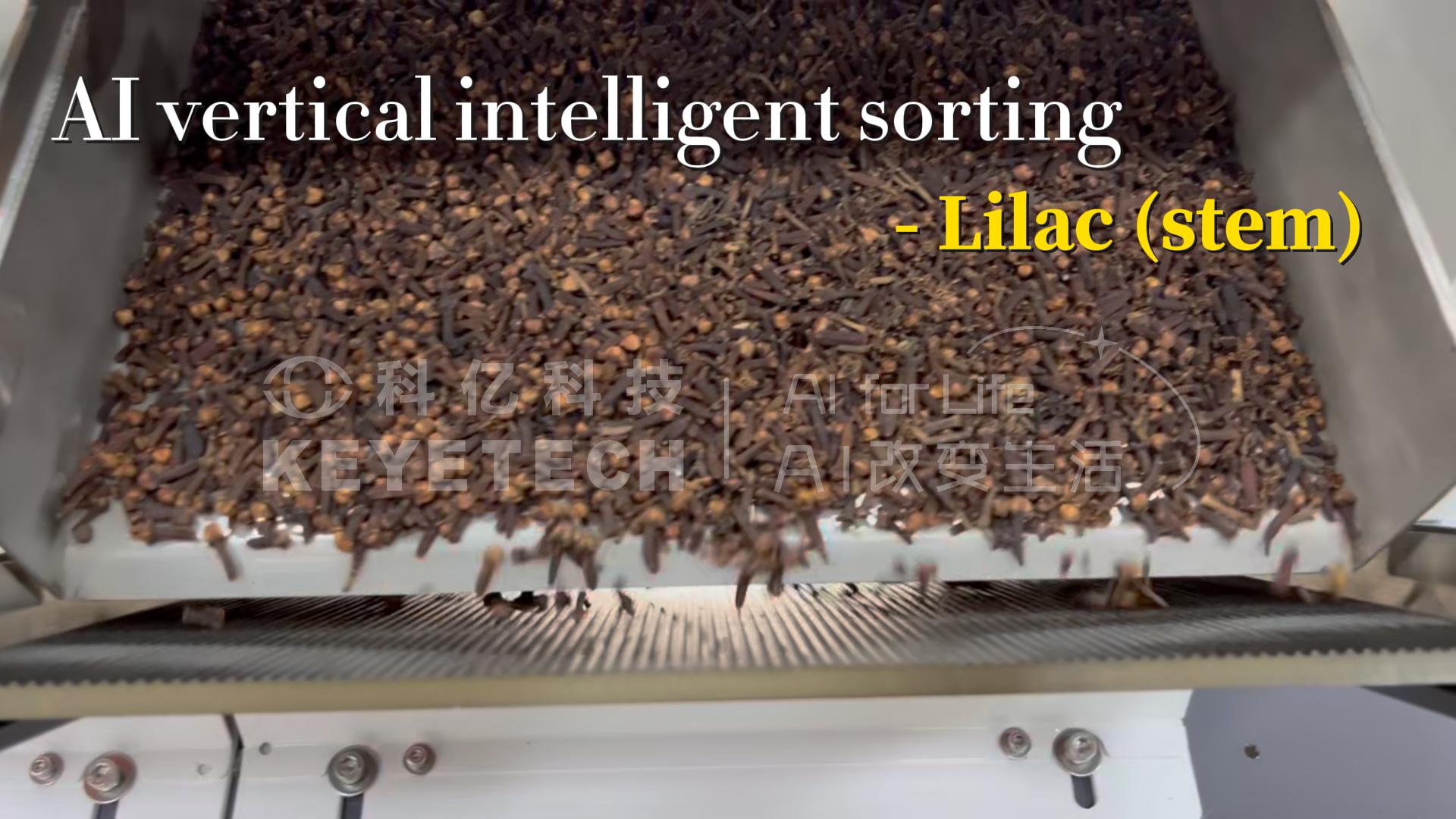 AI vertical intelligent sorting machine -Lilac (stem)
