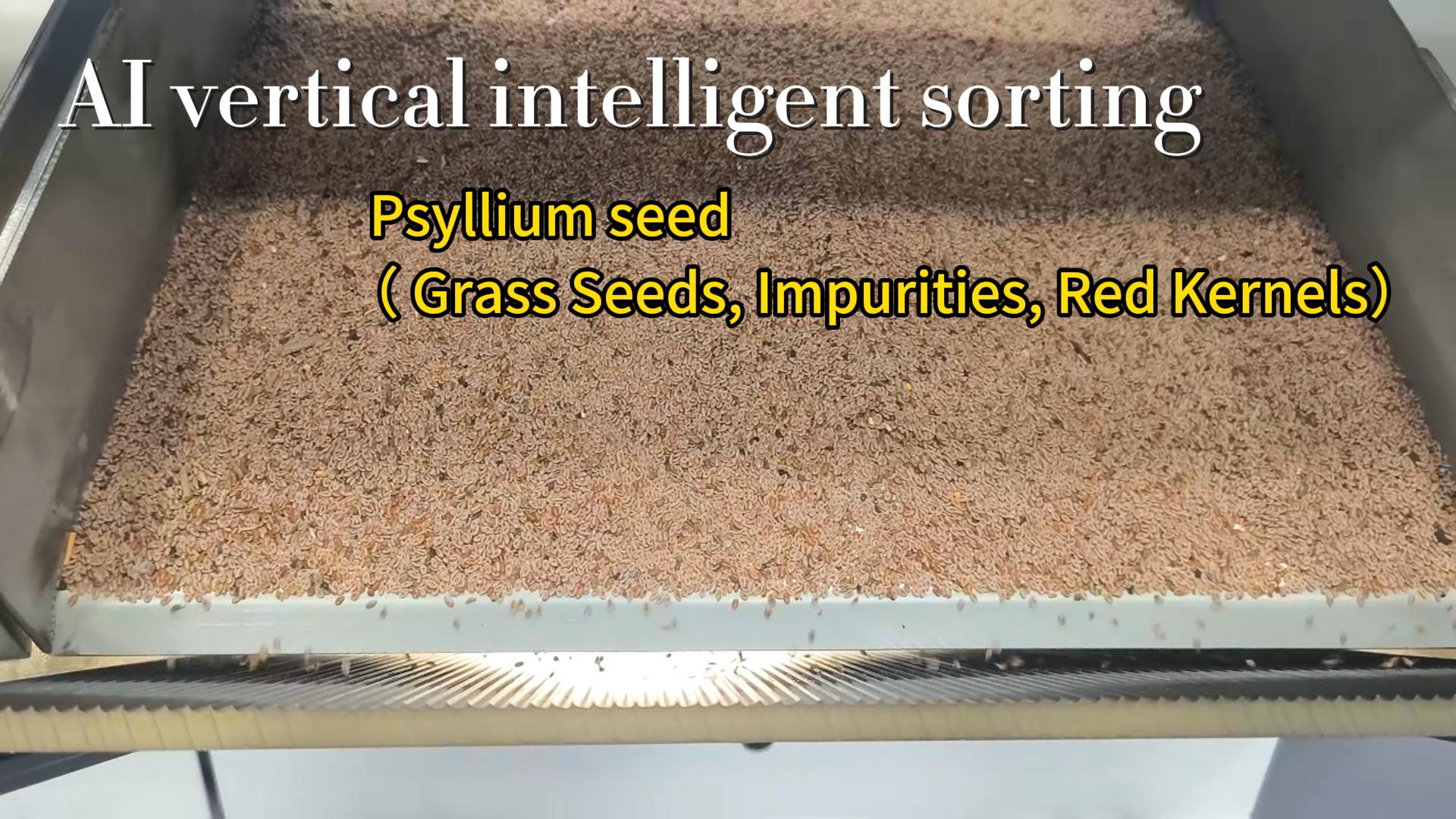 AI vertical intelligent sorting machine - Plantago asiatica (grass seeds, impurities, red kernels)