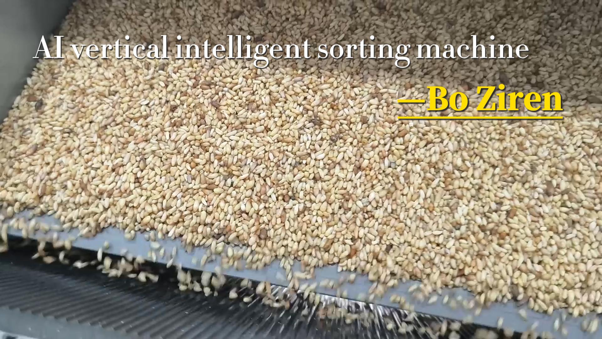 AI vertical intelligent sorting machine-BoZiren