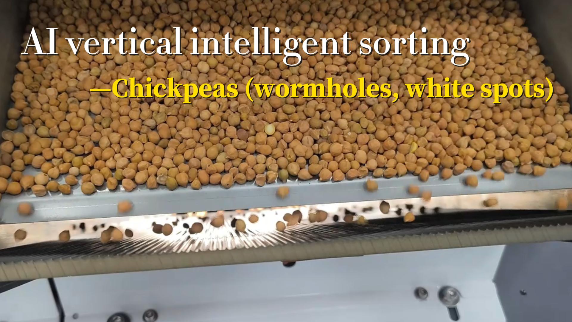 AI vertical intelligent sorting - chickpeas (insect eyes, white spots)