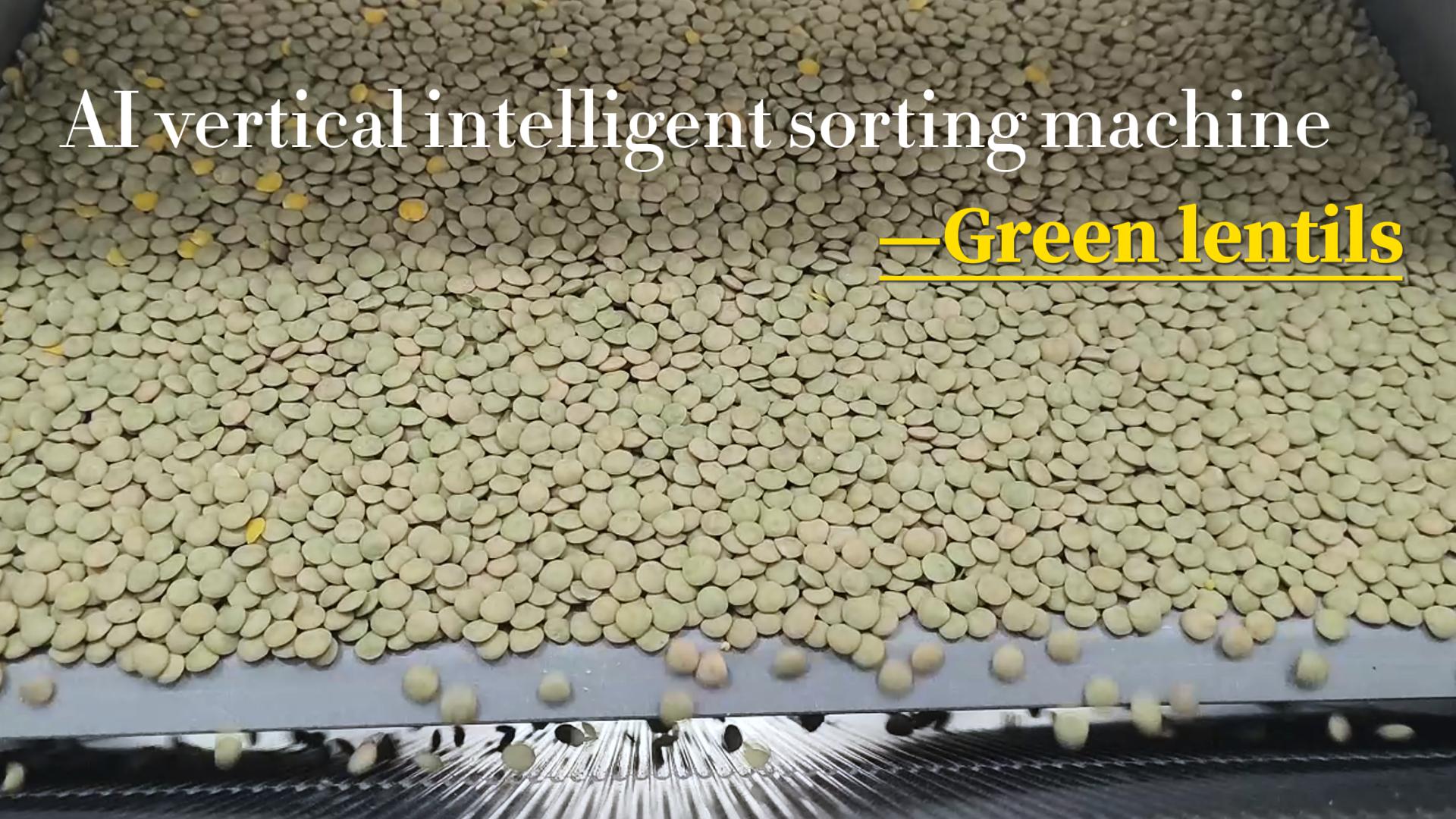 AI vertical sorter-Green lentils (yellow, grass seeds)
