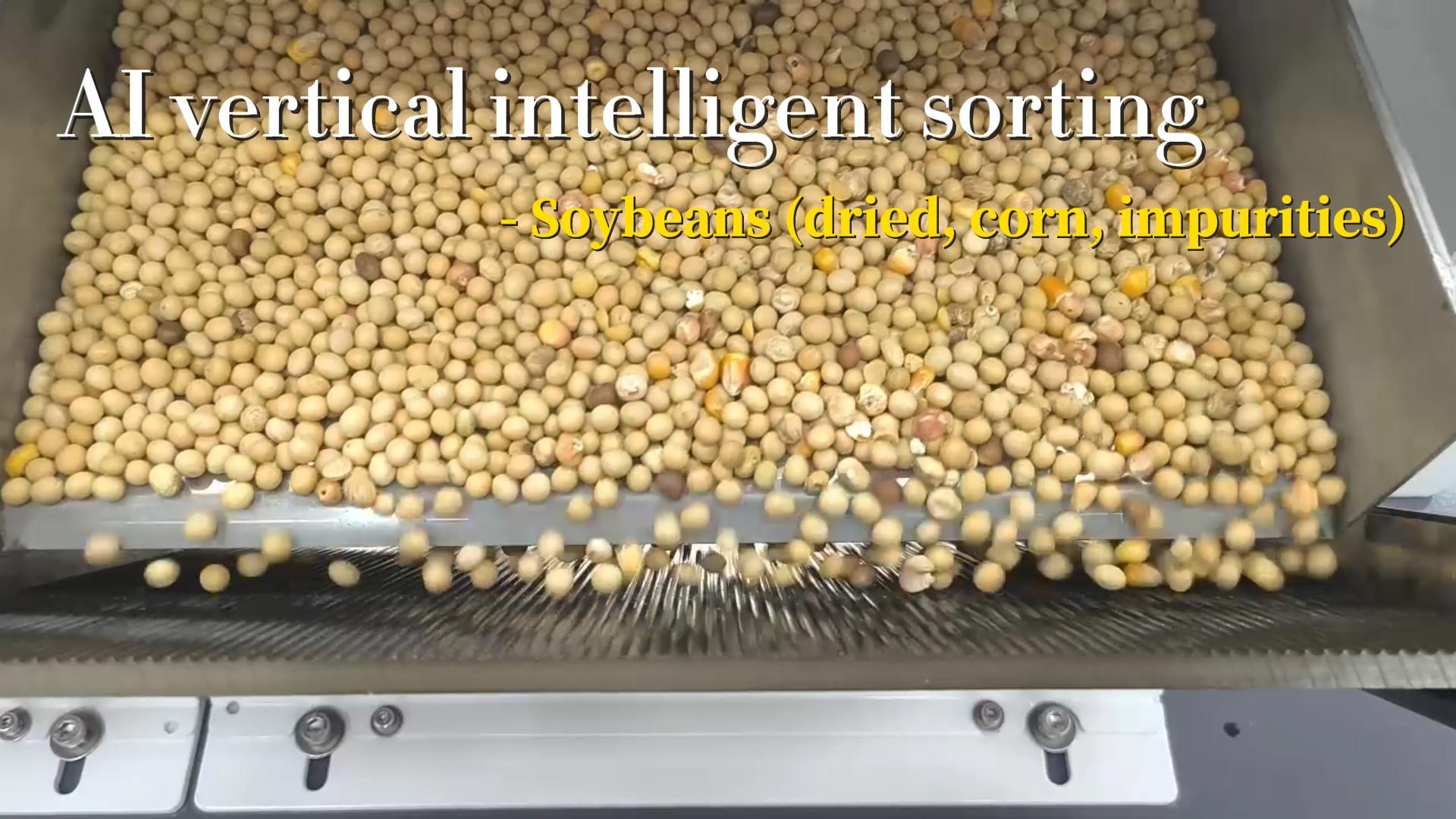 AI vertical intelligent sorter - soybeans (wizened, corn, impurities)