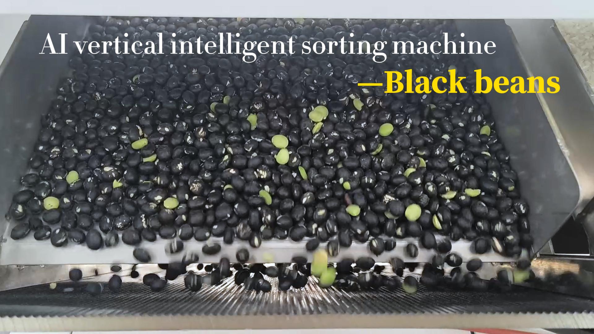 AI vertical sorter-Black beans (wormhole, broken)