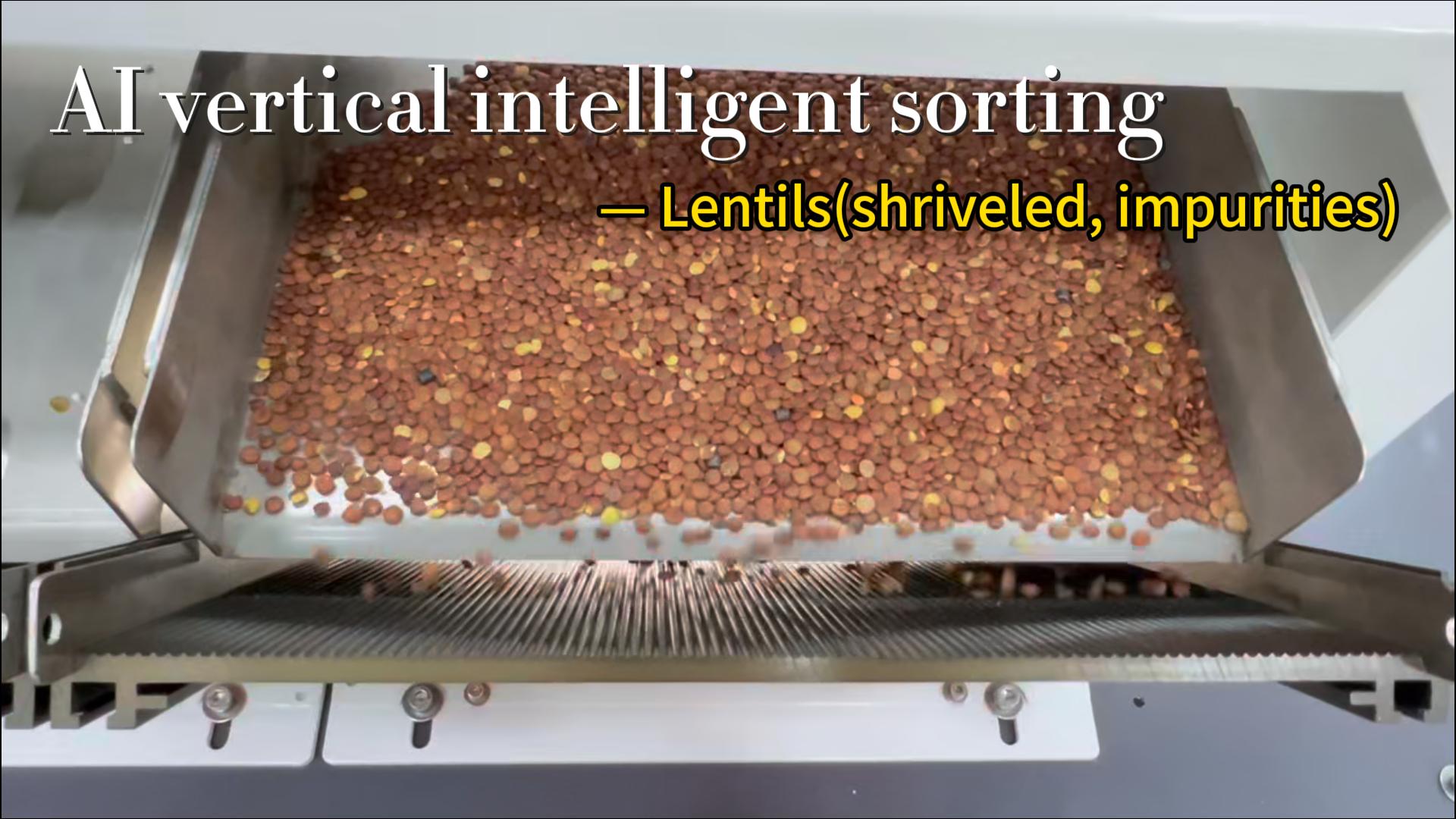 AI vertical intelligent sorter - Ientils (wizened, impurities)