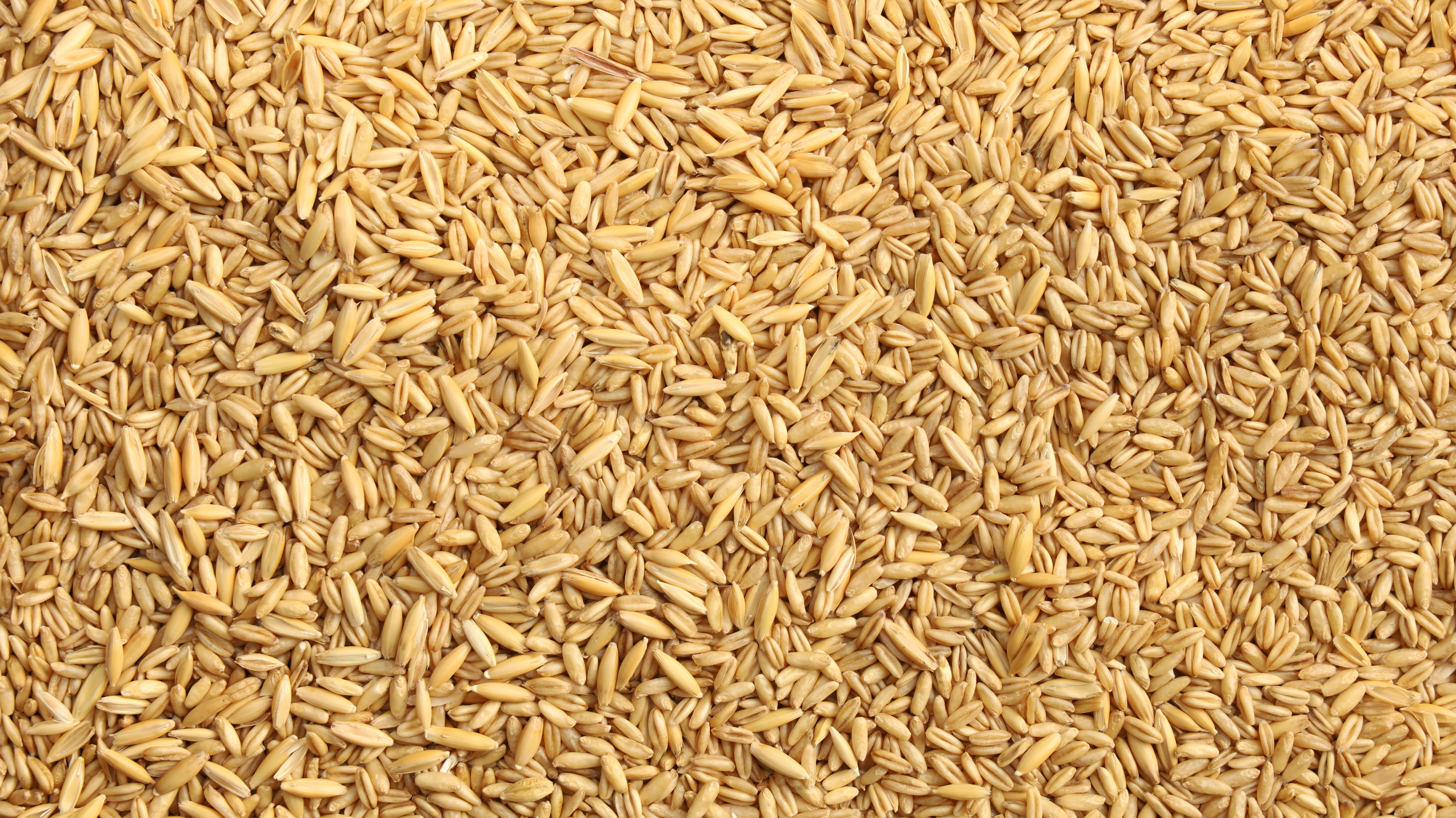 Oats