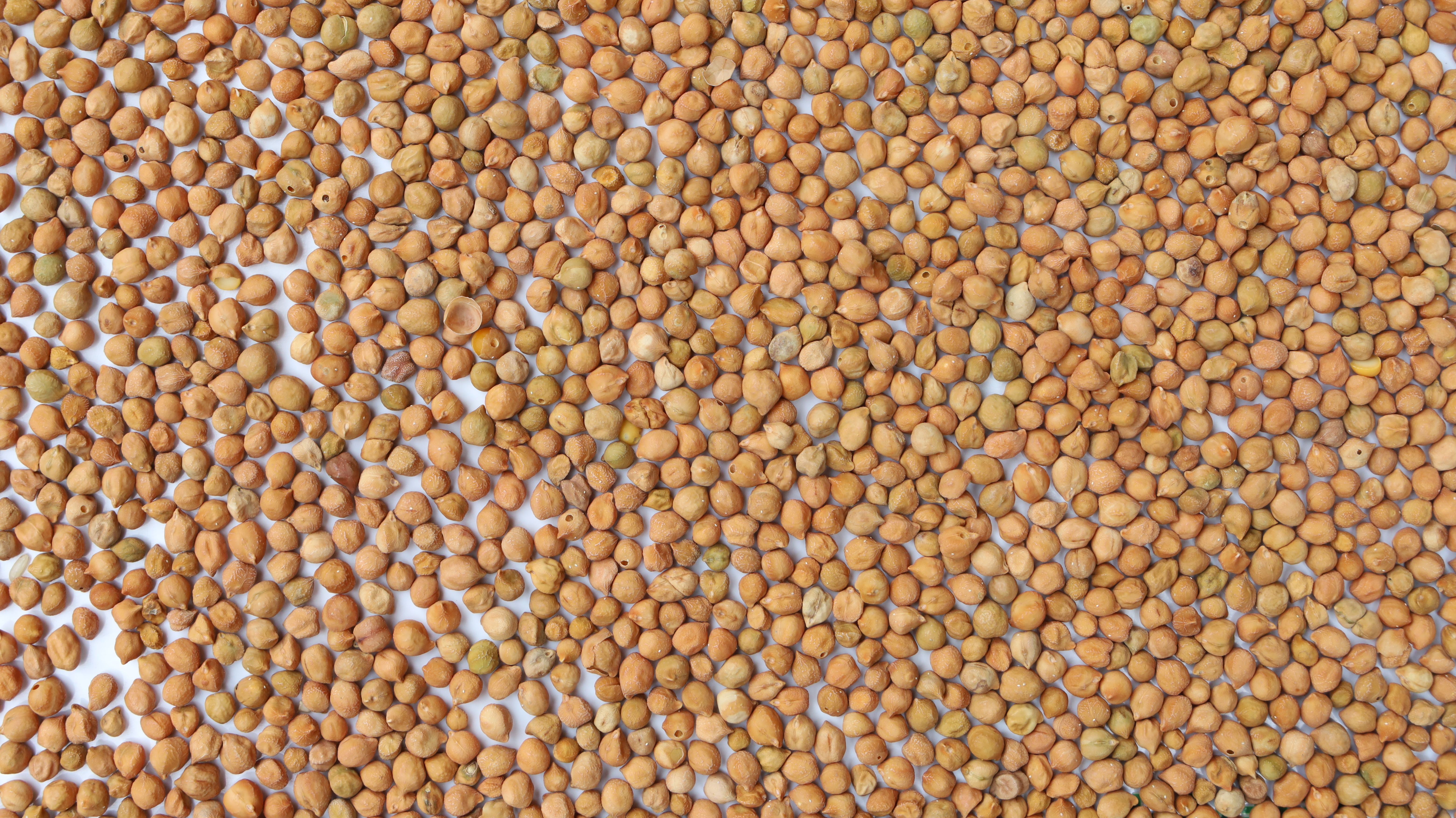 Chickpeas