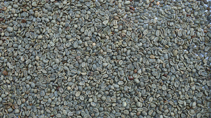 coffee bean