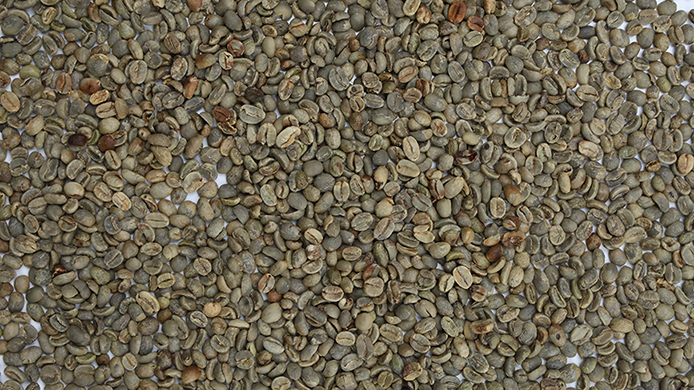 Coffee beans（Discolored beans）
