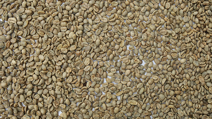 Coffee beans（Worm holes）